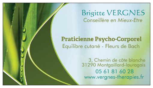 Carte Brigitte Vergnes